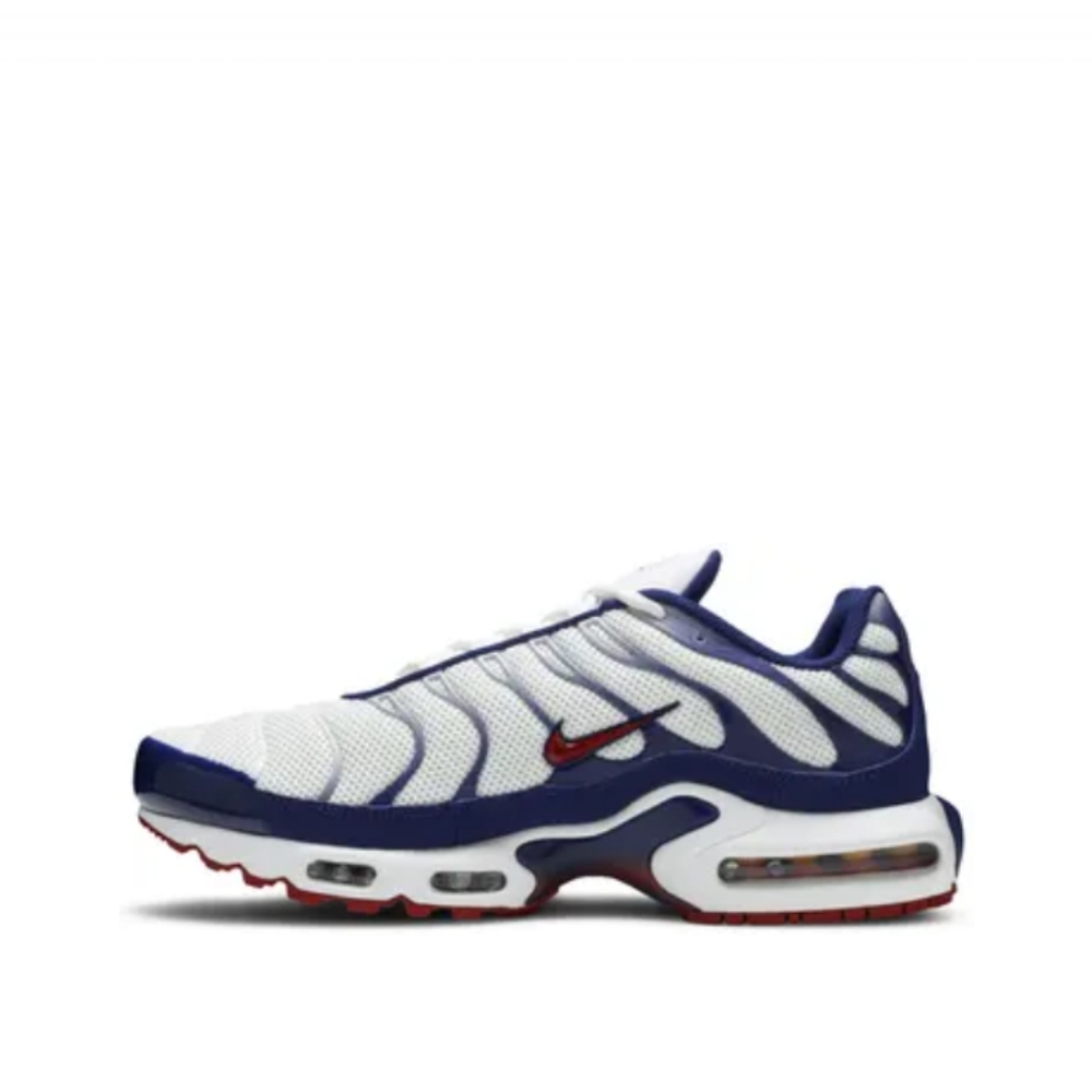 Nike Vapor Max Plus